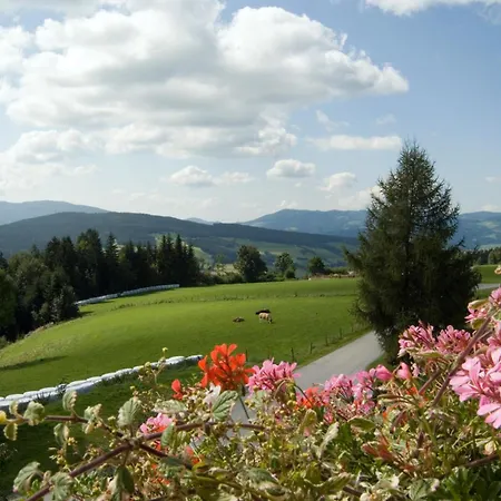Wildwiesenhof Miesenbach  Exterior photo