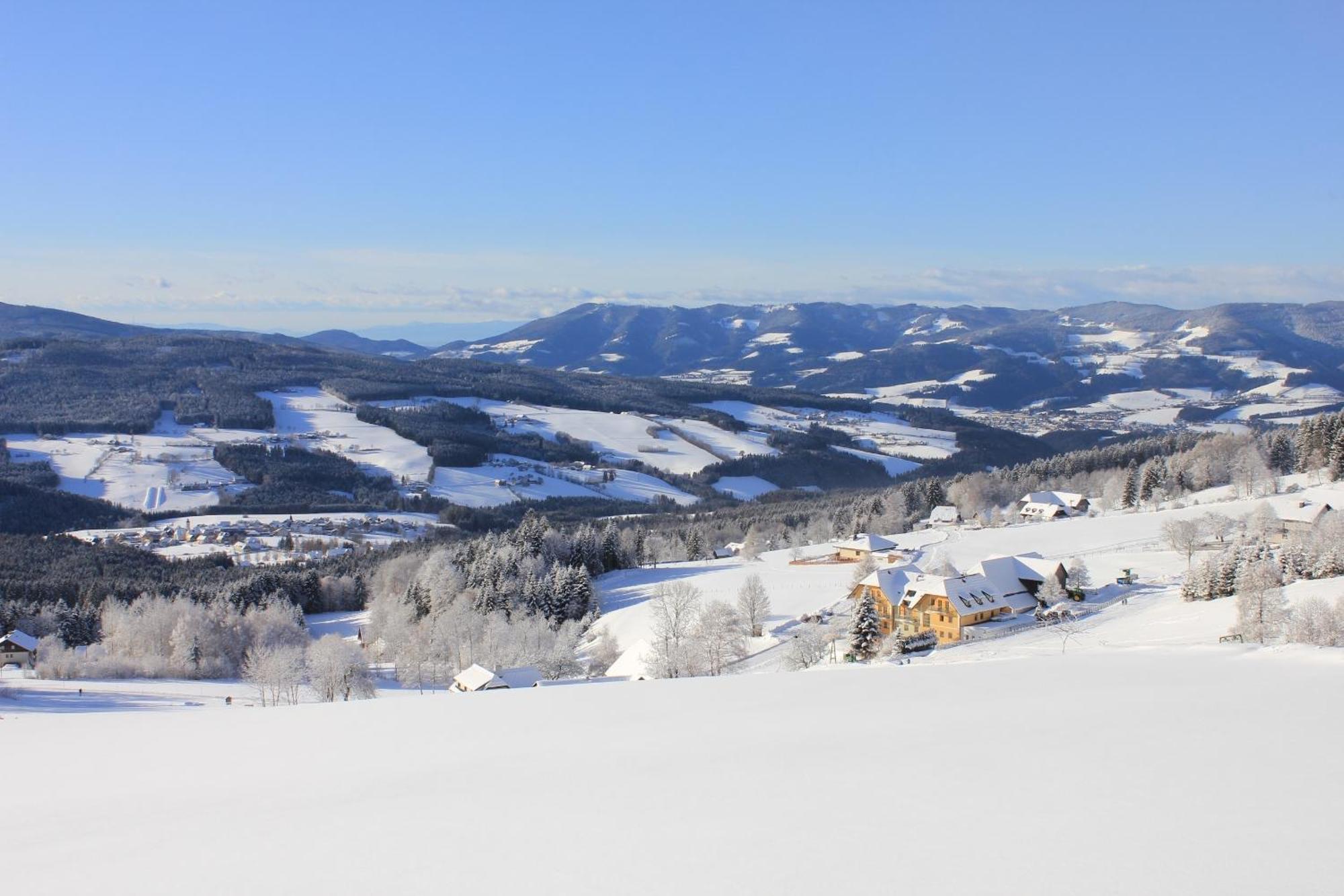 Gasthof Wildwiesenhof 3*
