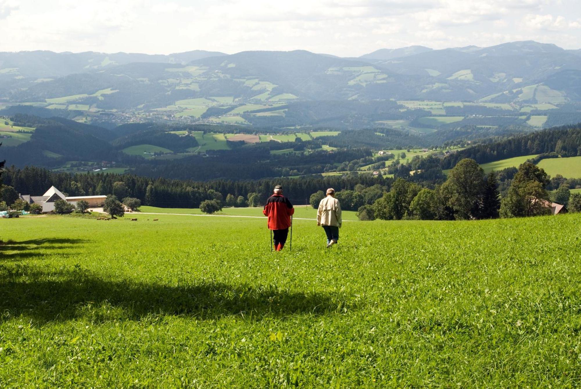 Wildwiesenhof 3* Miesenbach (Styria)