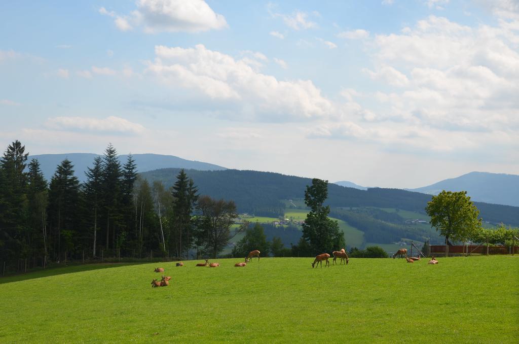 Gasthof Wildwiesenhof Miesenbach (Styria)