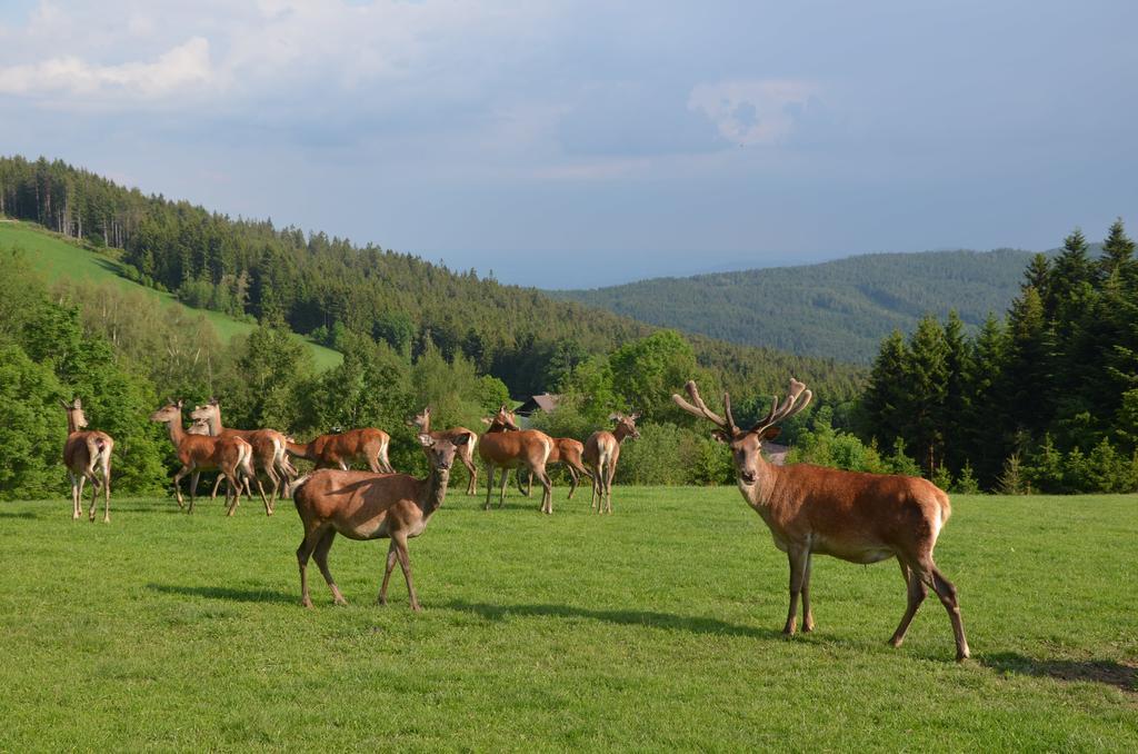 Wildwiesenhof 3*