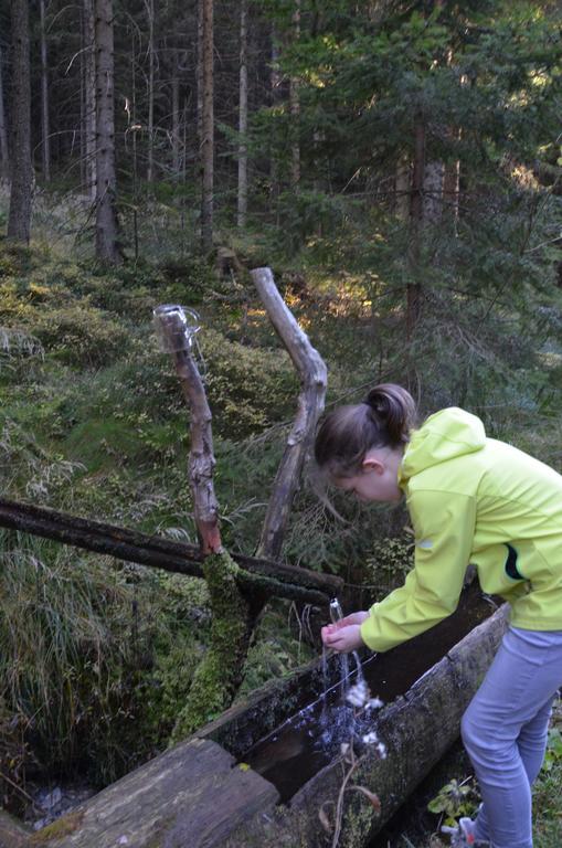 Gasthof Wildwiesenhof 3*
