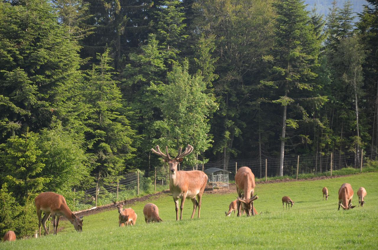 Gasthof Wildwiesenhof 3*